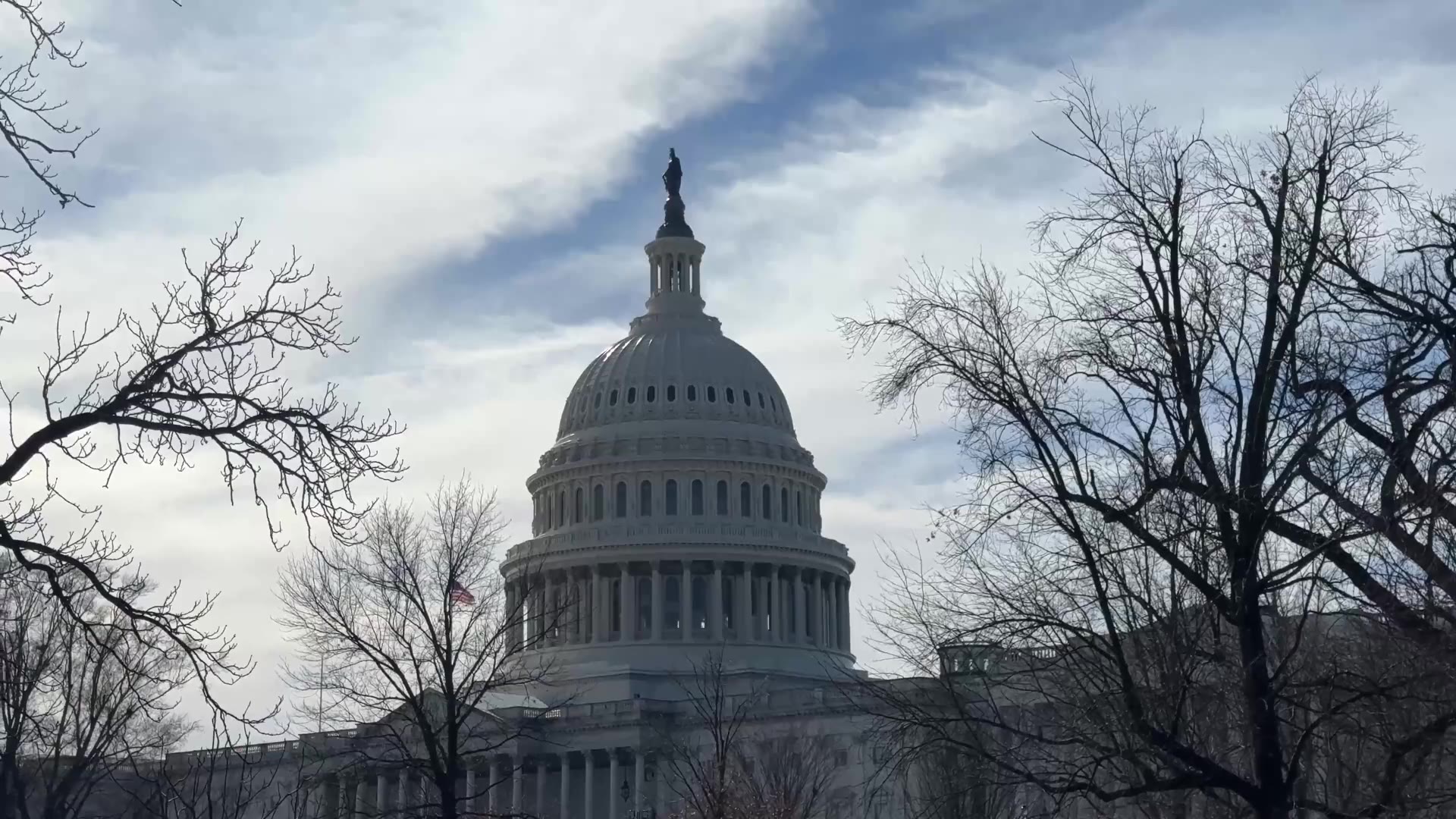 The US Capitol dome in Washington, DC framed by winter trees